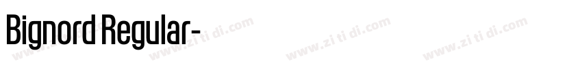 Bignord Regular字体转换 Bignord Regular字体转换